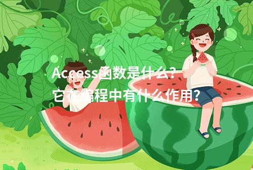 Access函数是什么?它在编程中有什么作用?