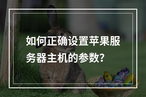 如何正确设置苹果服务器主机的参数?