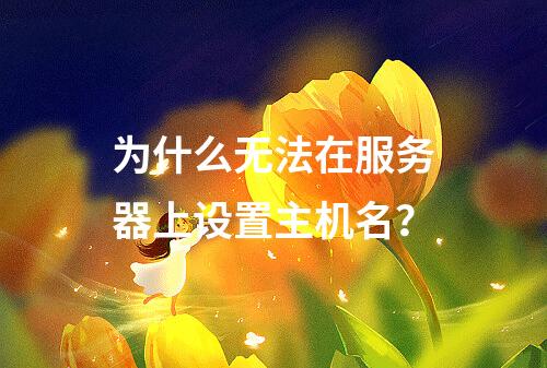 为什么无法在服务器上设置主机名?