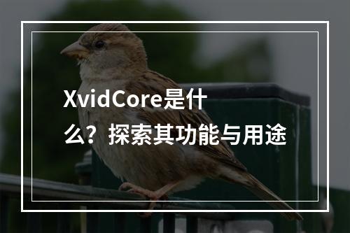XvidCore是什么?探索其功能与用途