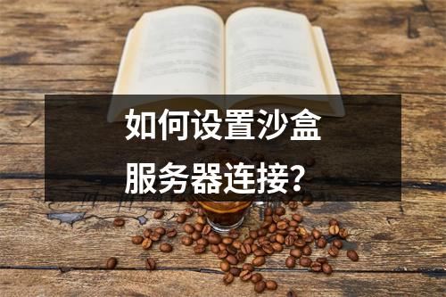 如何设置沙盒服务器连接?