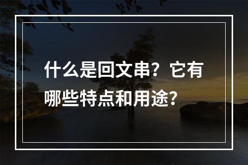 什么是回文串?它有哪些特点和用途?