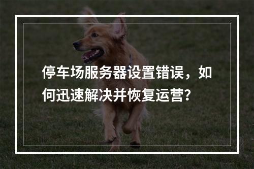 停车场服务器设置错误,如何迅速解决并恢复运营?