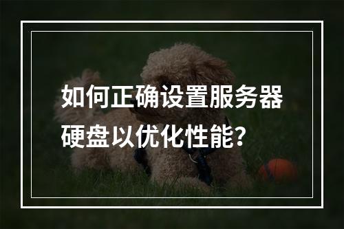 如何正确设置服务器硬盘以优化性能?