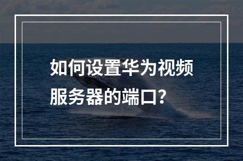 如何设置华为视频服务器的端口?