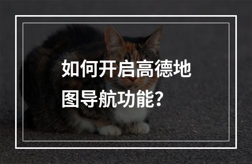 如何开启高德地图导航功能?