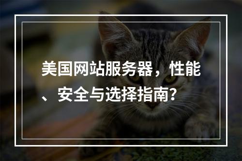 美国网站服务器,性能、安全与选择指南?