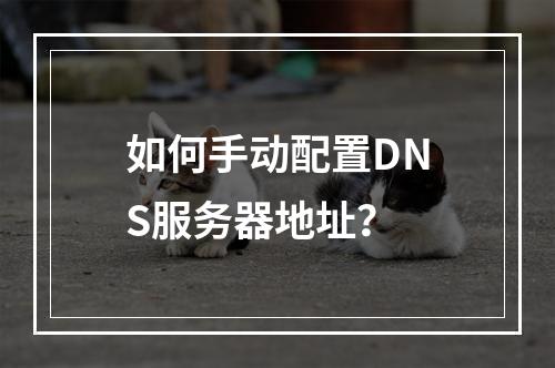 如何手动配置DNS服务器地址?