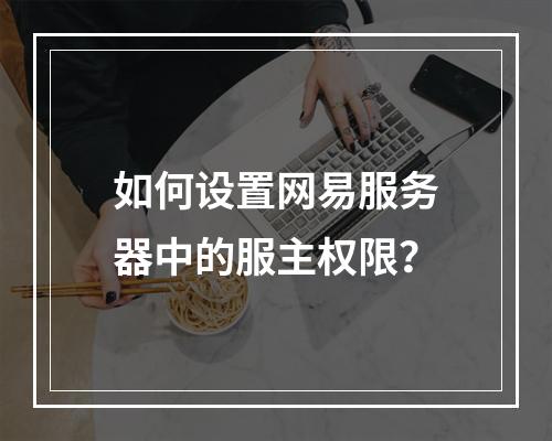 如何设置网易服务器中的服主权限?