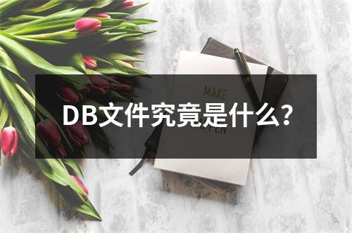 DB文件究竟是什么?