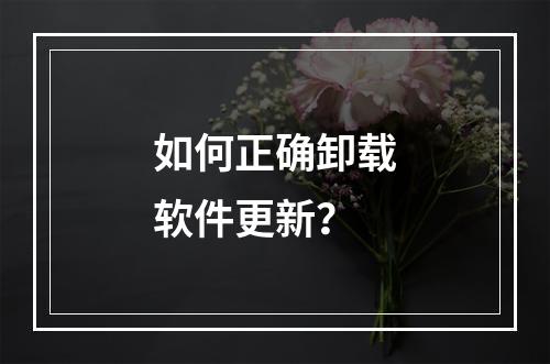 如何正确卸载软件更新?