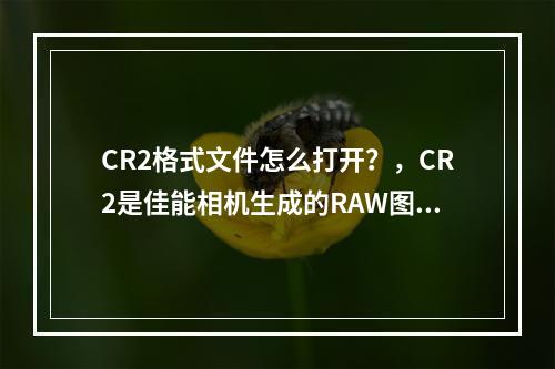 CR2格式文件怎么打开?,CR2是佳能相机生成的RAW图像格式,保存了丰富的图像数据。那么,如何打开和编辑CR2文件呢?