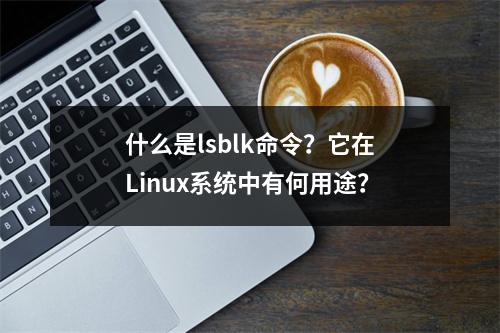 什么是lsblk命令?它在Linux系统中有何用途?