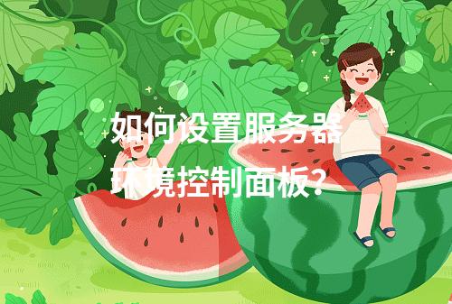 如何设置服务器环境控制面板?