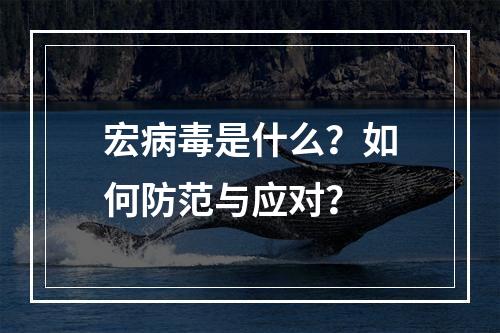 宏病毒是什么?如何防范与应对?