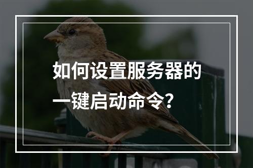 如何设置服务器的一键启动命令?
