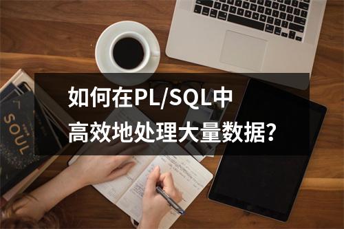 如何在PL/SQL中高效地处理大量数据?