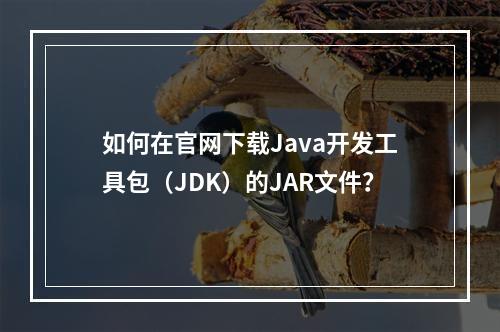 如何在官网下载Java开发工具包(JDK)的JAR文件?
