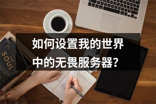 如何设置我的世界中的无畏服务器?