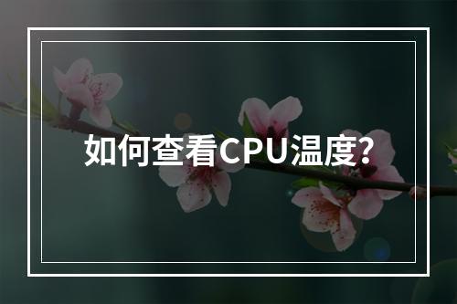 如何查看CPU温度?