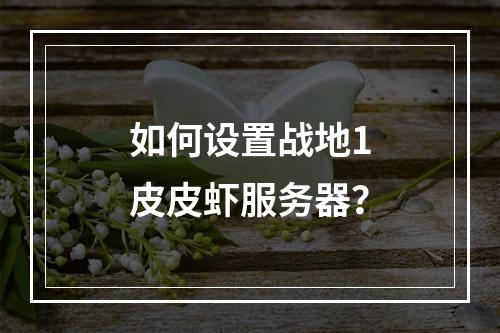 如何设置战地1皮皮虾服务器?