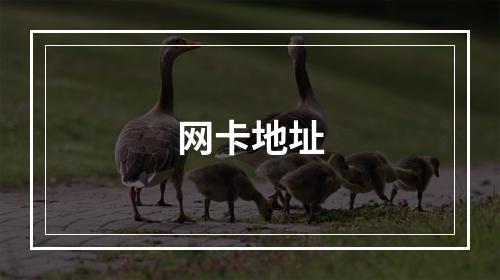 网卡地址