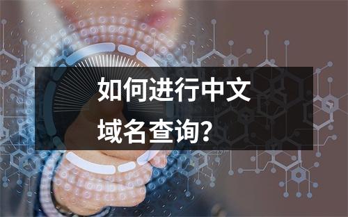 如何进行中文域名查询?
