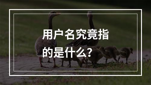 用户名究竟指的是什么?