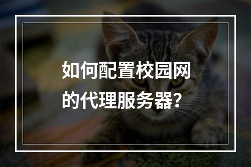 如何配置校园网的代理服务器?