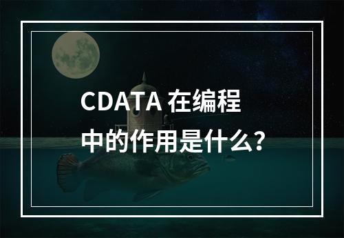 CDATA 在编程中的作用是什么?