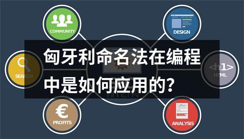 匈牙利命名法在编程中是如何应用的?