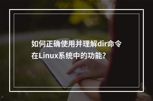 如何正确使用并理解dir命令在Linux系统中的功能?
