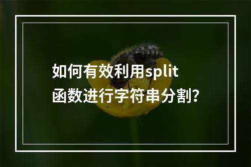 如何有效利用split函数进行字符串分割?