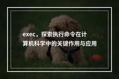exec,探索执行命令在计算机科学中的关键作用与应用