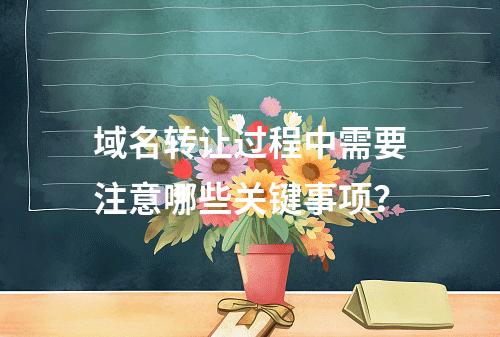 域名转让过程中需要注意哪些关键事项?