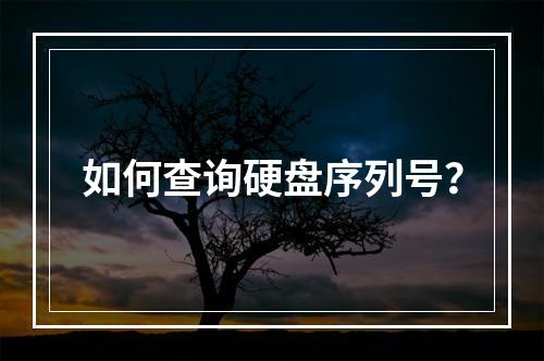 如何查询硬盘序列号?