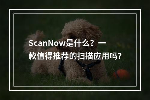 ScanNow是什么?一款值得推荐的扫描应用吗?