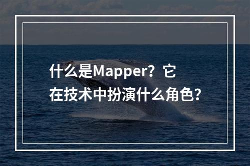 什么是Mapper?它在技术中扮演什么角色?