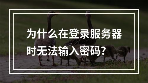 为什么在登录服务器时无法输入密码?