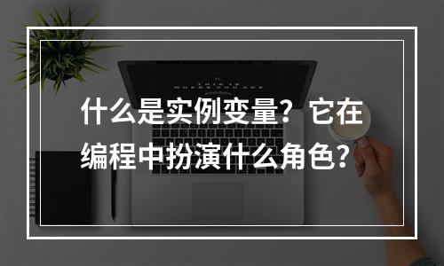 什么是实例变量?它在编程中扮演什么角色?