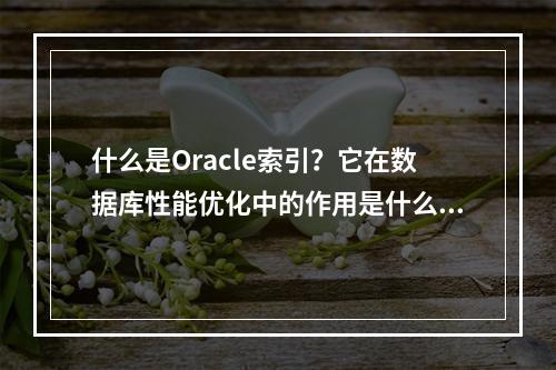 什么是Oracle索引?它在数据库性能优化中的作用是什么?