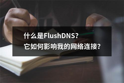 什么是FlushDNS?它如何影响我的网络连接?
