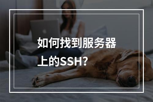 如何找到服务器上的SSH?