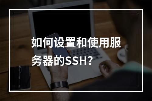 如何设置和使用服务器的SSH?