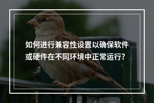 如何进行兼容性设置以确保软件或硬件在不同环境中正常运行?