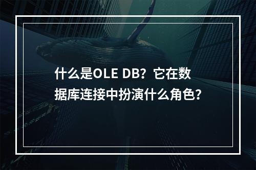什么是OLE DB?它在数据库连接中扮演什么角色?
