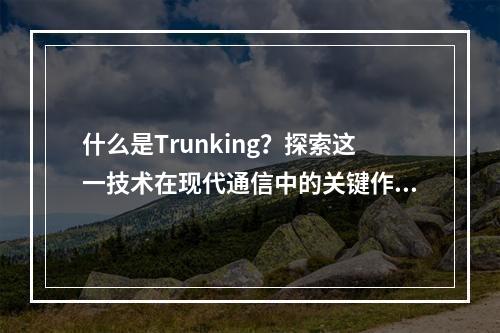 什么是Trunking?探索这一技术在现代通信中的关键作用