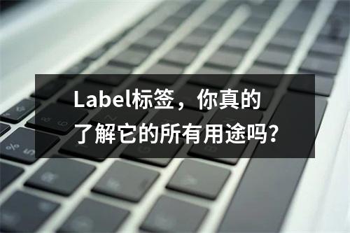 Label标签,你真的了解它的所有用途吗?