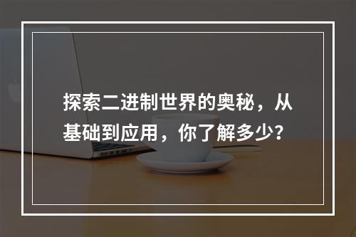 探索二进制世界的奥秘,从基础到应用,你了解多少?