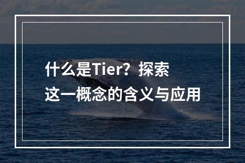 什么是Tier?探索这一概念的含义与应用